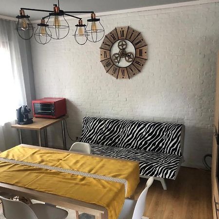 Apartament Dorobanti Apartment คลูจ-นาโปกา ภายนอก รูปภาพ